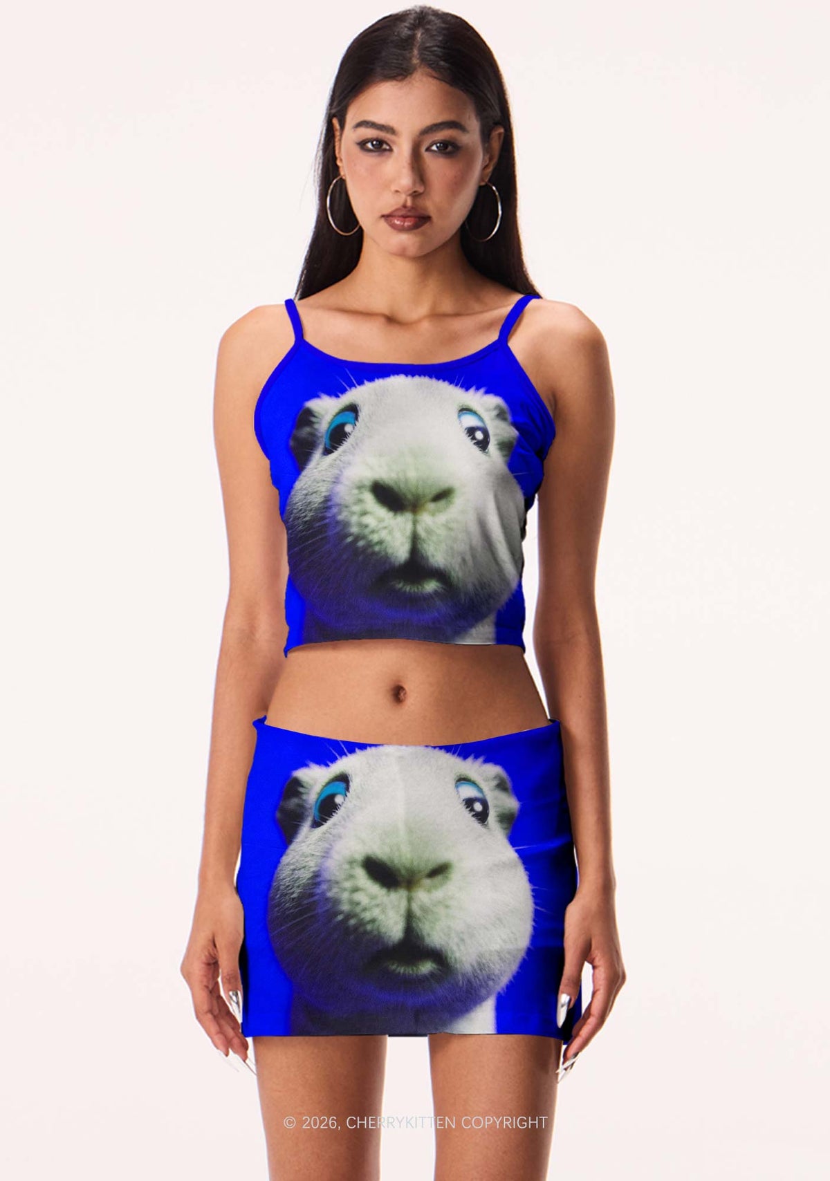Guinea Pig On Blue Y2K Print Mini Skirt Cherrykitten