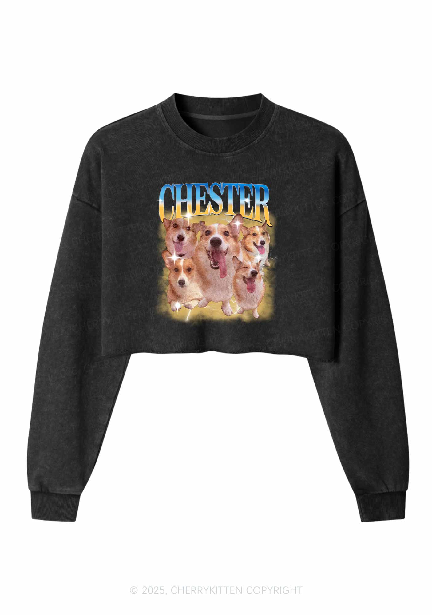 Custom Dog Photo Y2K Crop Washed Sweatshirts Cherrykitten