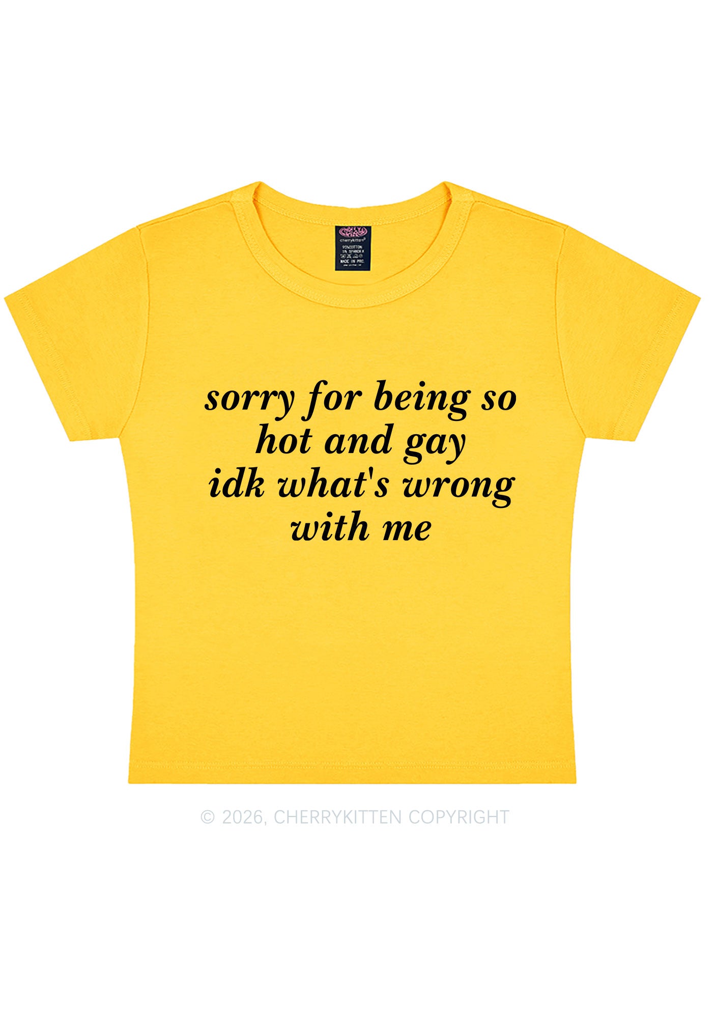 Sorry For Being Gay Pride Y2K Baby Tee Cherrykitten
