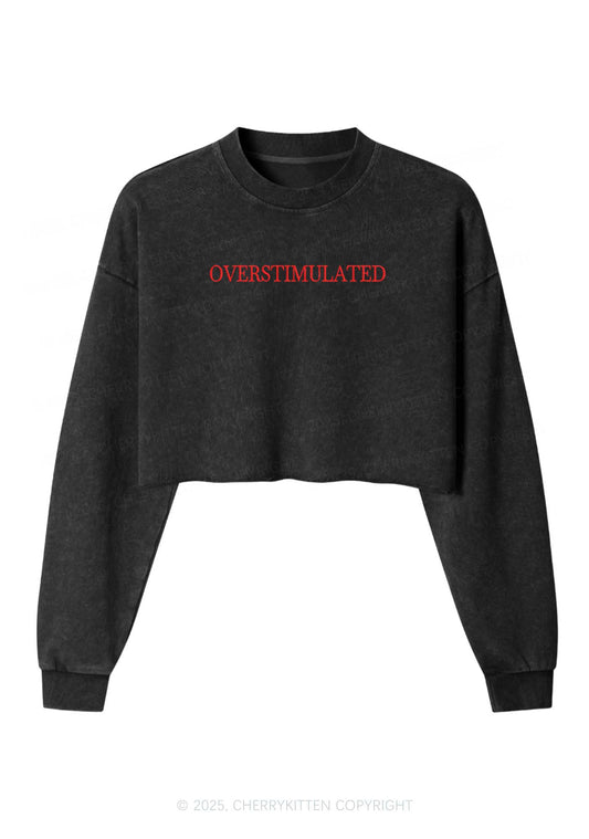 Embroidered Overstimulated Y2K Crop Washed Sweatshirts Cherrykitten