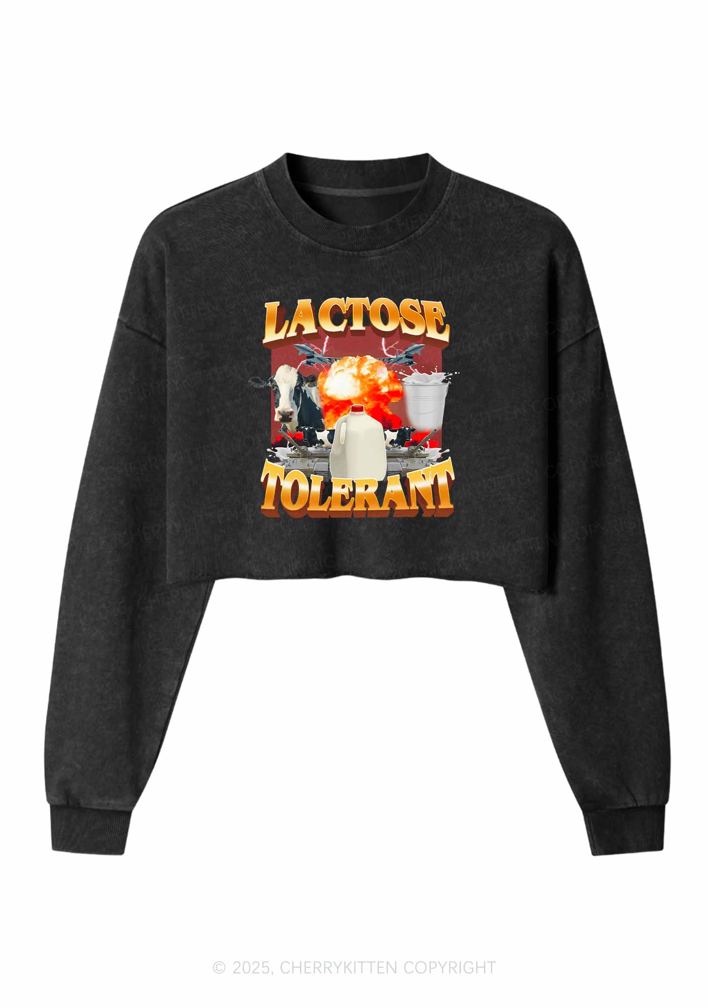 Retro Milk Lactose Tolerant Y2K Crop Washed Sweatshirts Cherrykitten