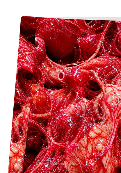 Halloween Red Anatomical Hearts Y2K Print Gym Shorts Cherrykitten