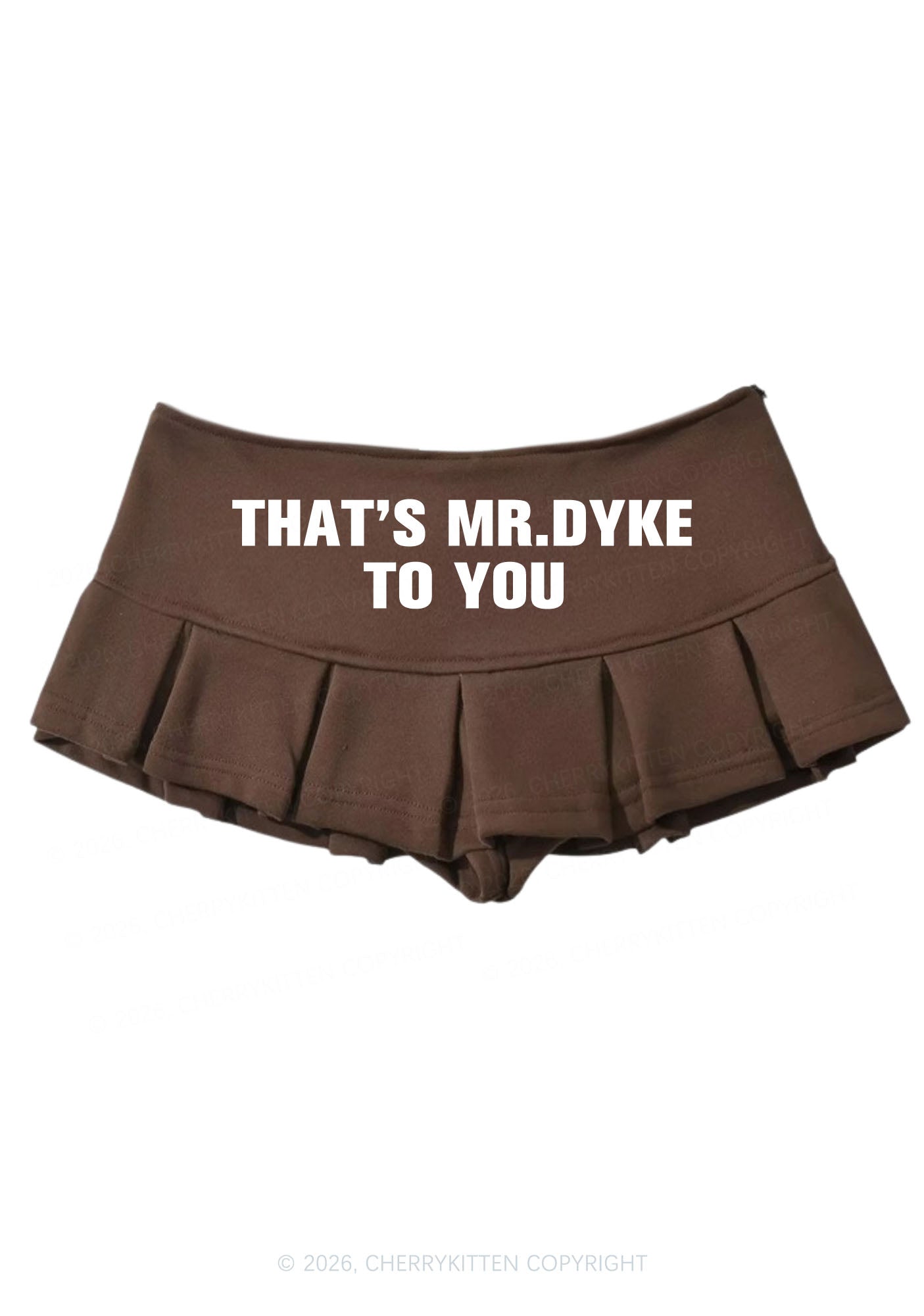 Thats Mr Dyke Pride Y2K Mini Pleated Skirts Cherrykitten