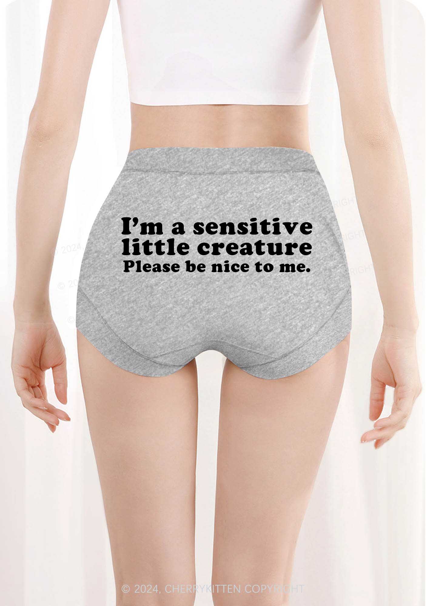 Sensitive Little Creature Y2K Mid Rise Waist Boyshort Cherrykitten