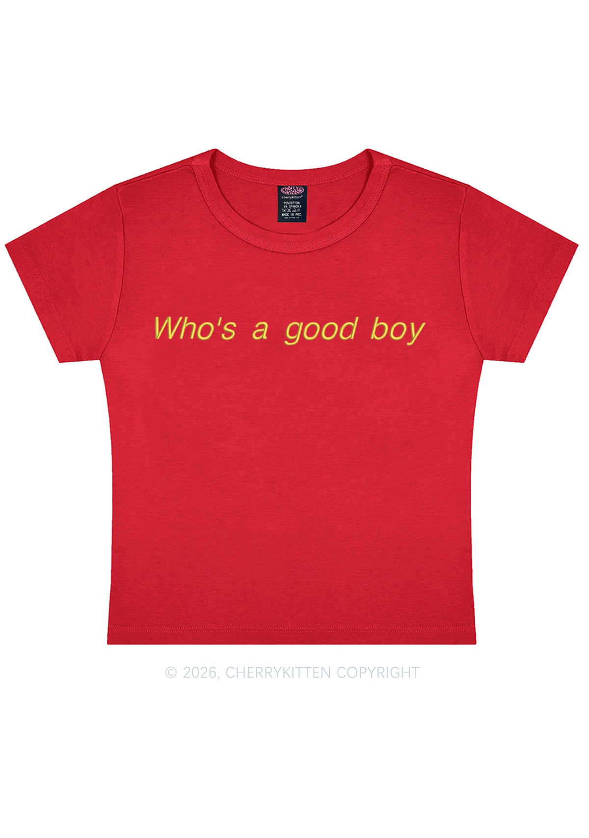 Embroidered Whos A Good Boy Y2K Baby Tee Cherrykitten