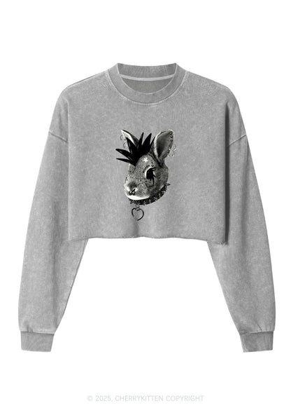 Custom Punk Pet Y2K Crop Washed Sweatshirts Cherrykitten