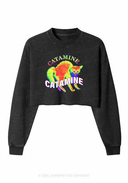 Thermal Cat Y2K Crop Washed Sweatshirts Cherrykitten