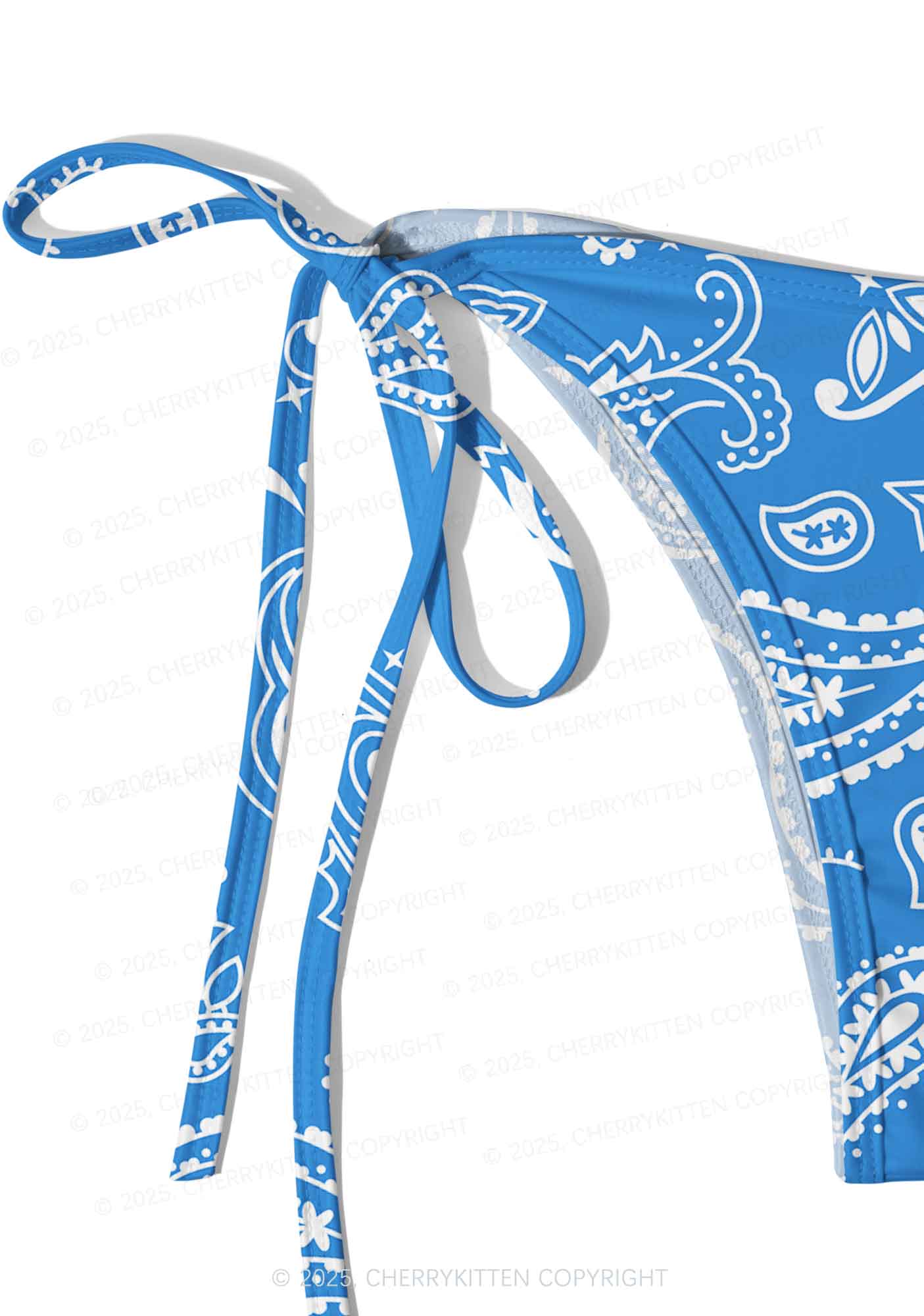 Blue Paisley Y2K Print Bikini Set Cherrykitten
