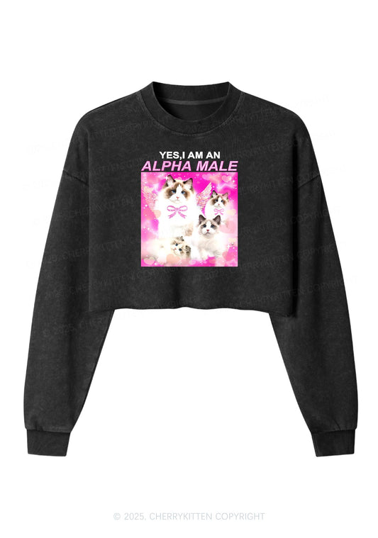 Alpha Male Y2K Crop Washed Sweatshirts Cherrykitten