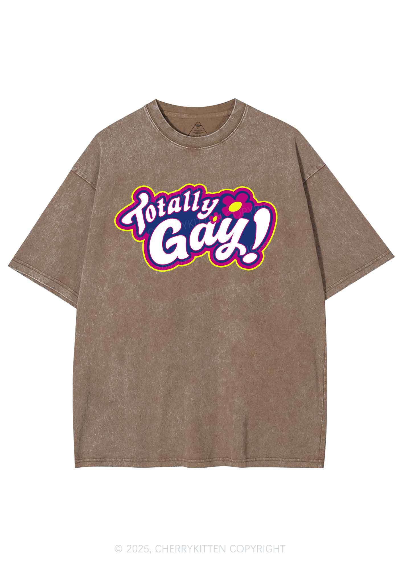 Totally Gay Pride Y2K Shirts Washed Tee Cherrykitten