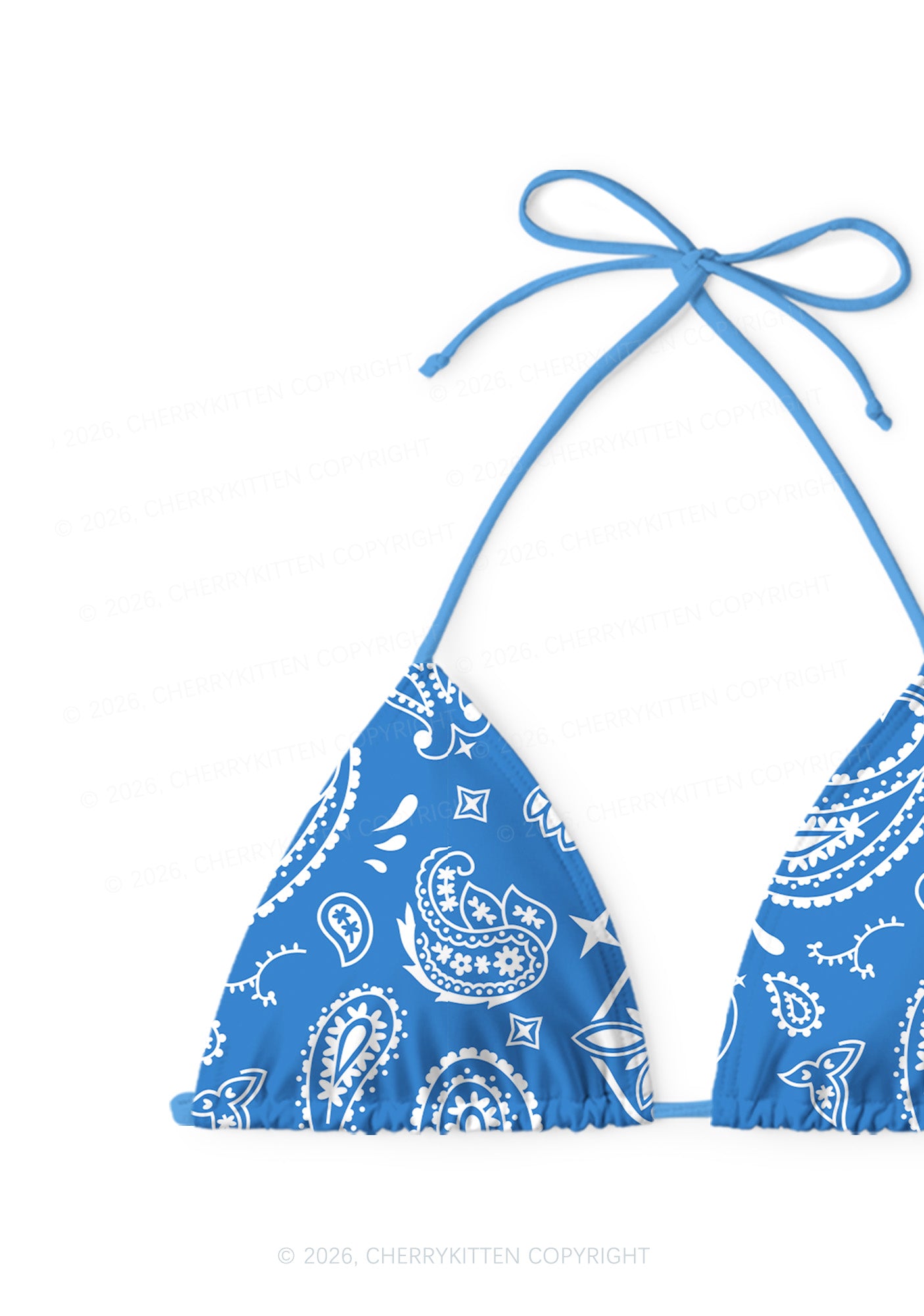 Blue Paisley Y2K Print Bikini Set Cherrykitten