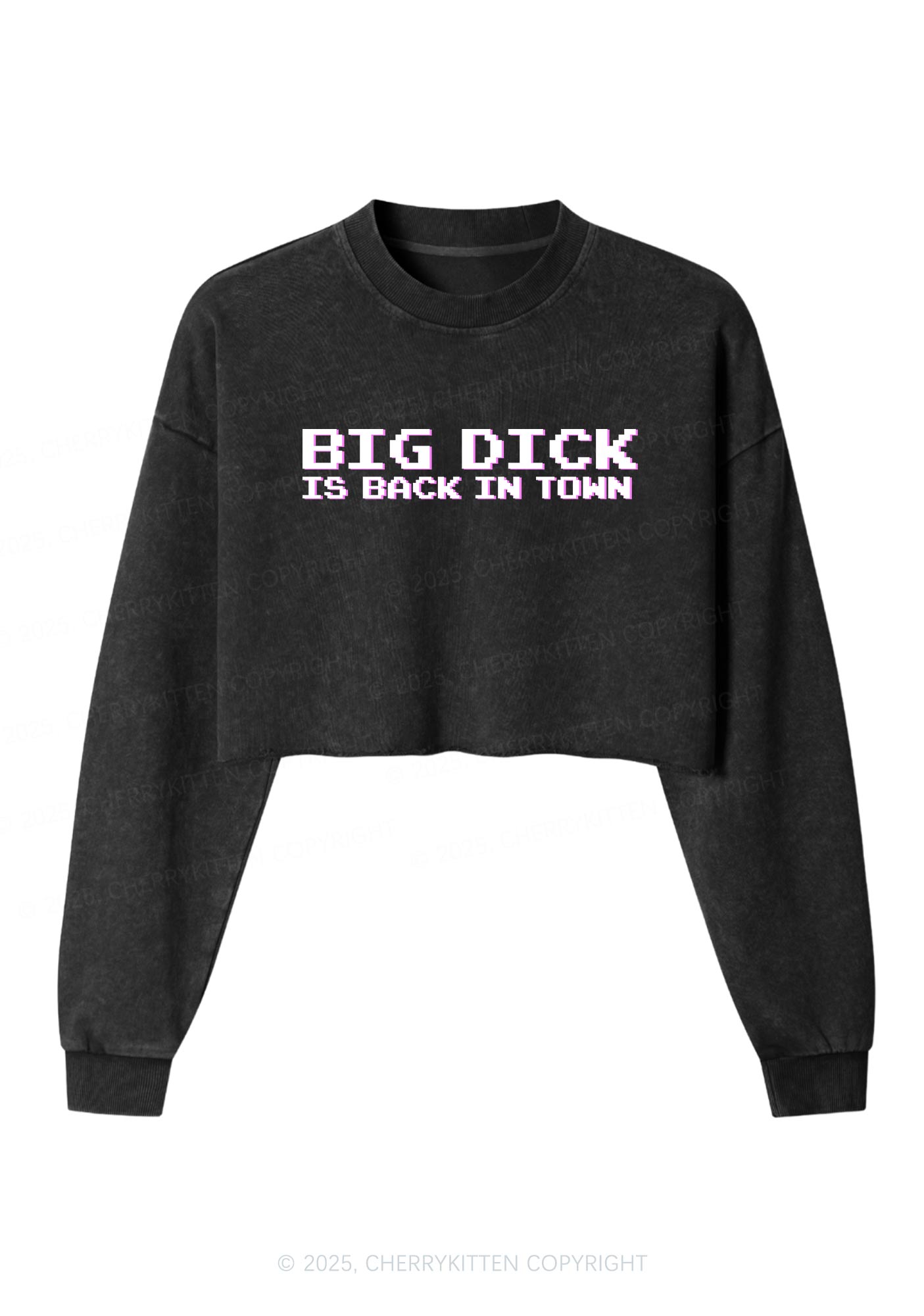 Big Is Back In Town Y2K Crop Washed Sweatshirts Cherrykitten