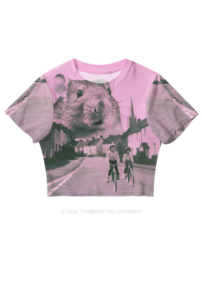 Rat Street Y2K Mesh Crop Top Cherrykitten