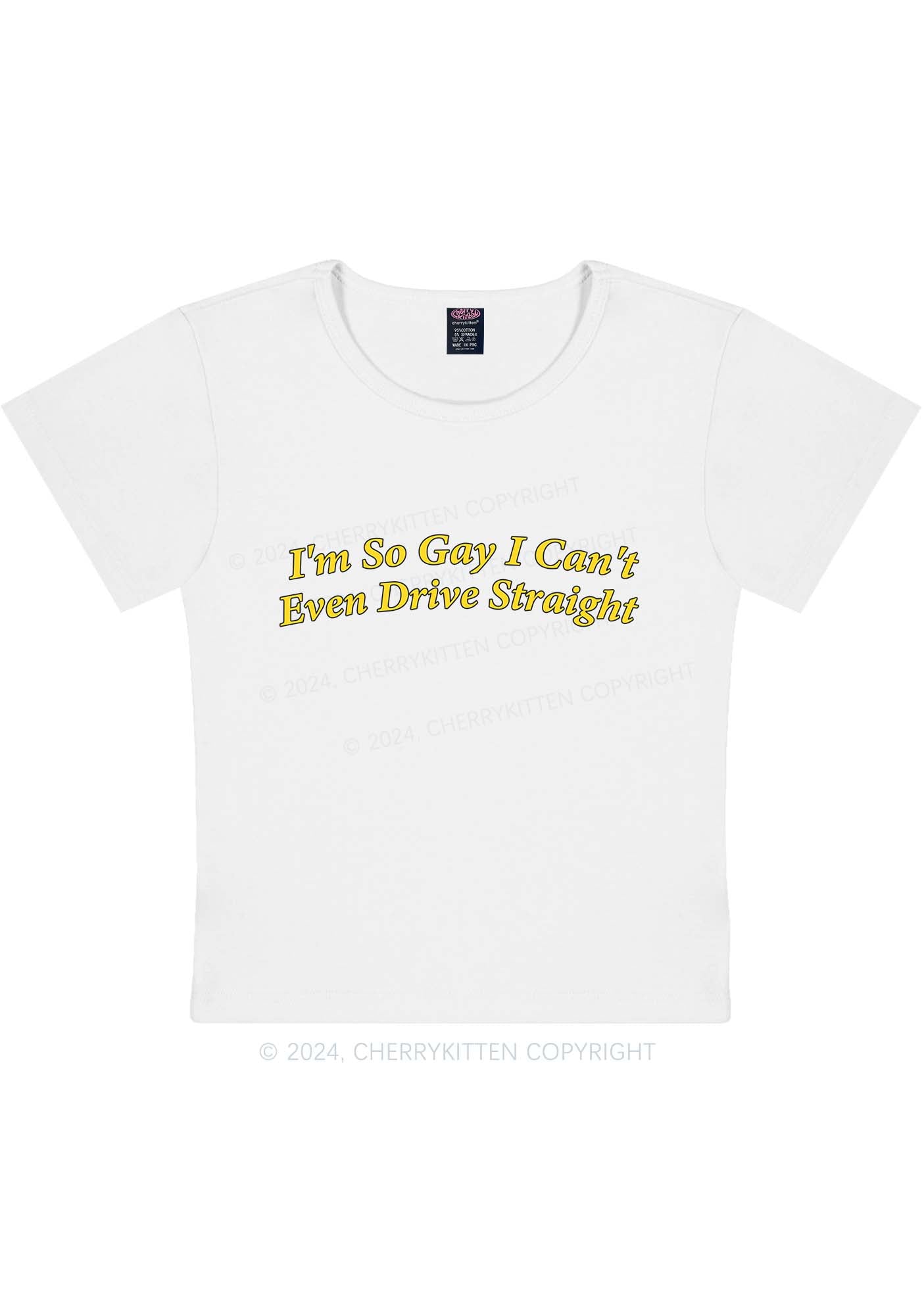 Curvy I'm So Gay Y2K Baby Tee Cherrykitten