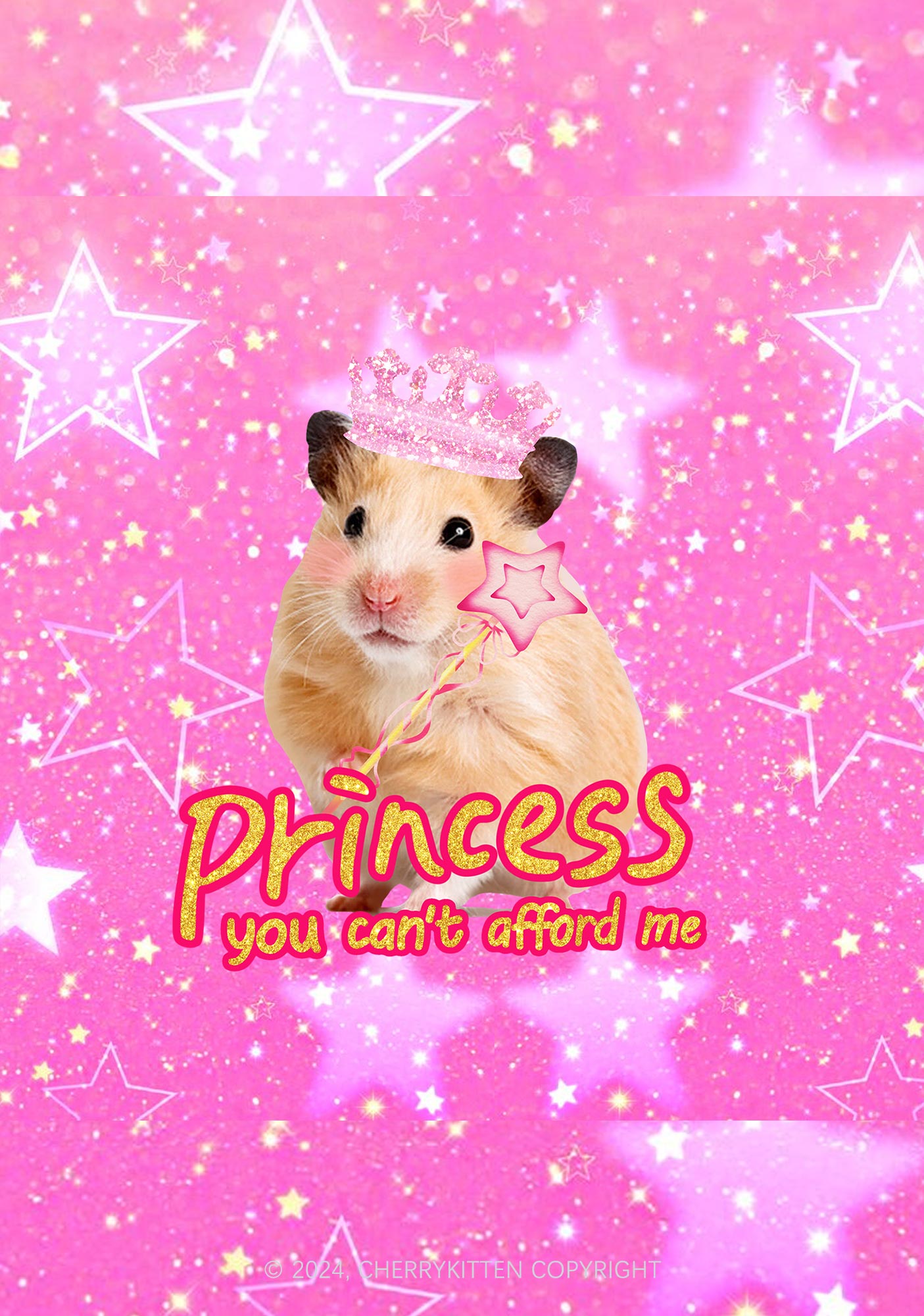Princess You Can't Afford Me 1Pc Y2K Pin Badge Cherrykitten