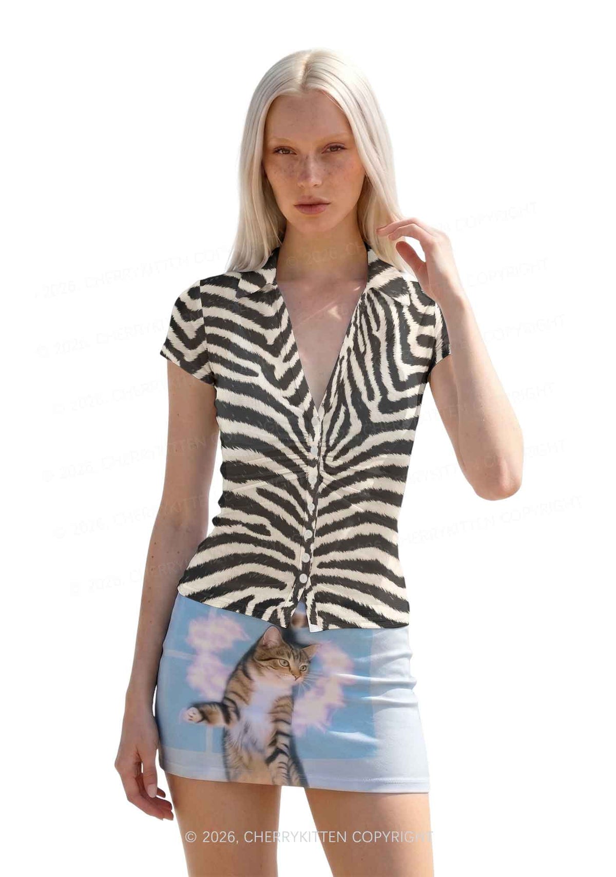 Black And White Zebra Striped Y2K Mesh Ruched Waist V Neck Top Cherrykitten