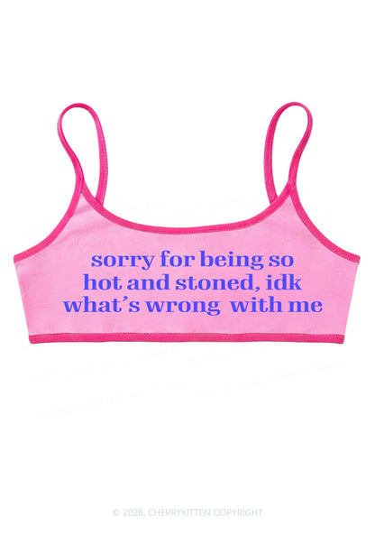 Sorry For Being Hot And Stoned Y2K Super Crop Cami Cherrykitten