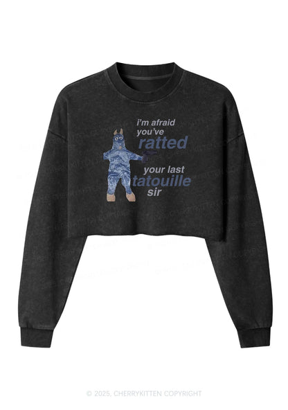 Ratted Last Tatouille Y2K Crop Washed Sweatshirts Cherrykitten