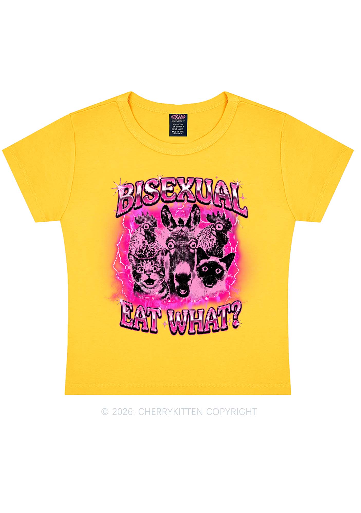 Bisexual Eat What Pride Y2K Baby Tee Cherrykitten