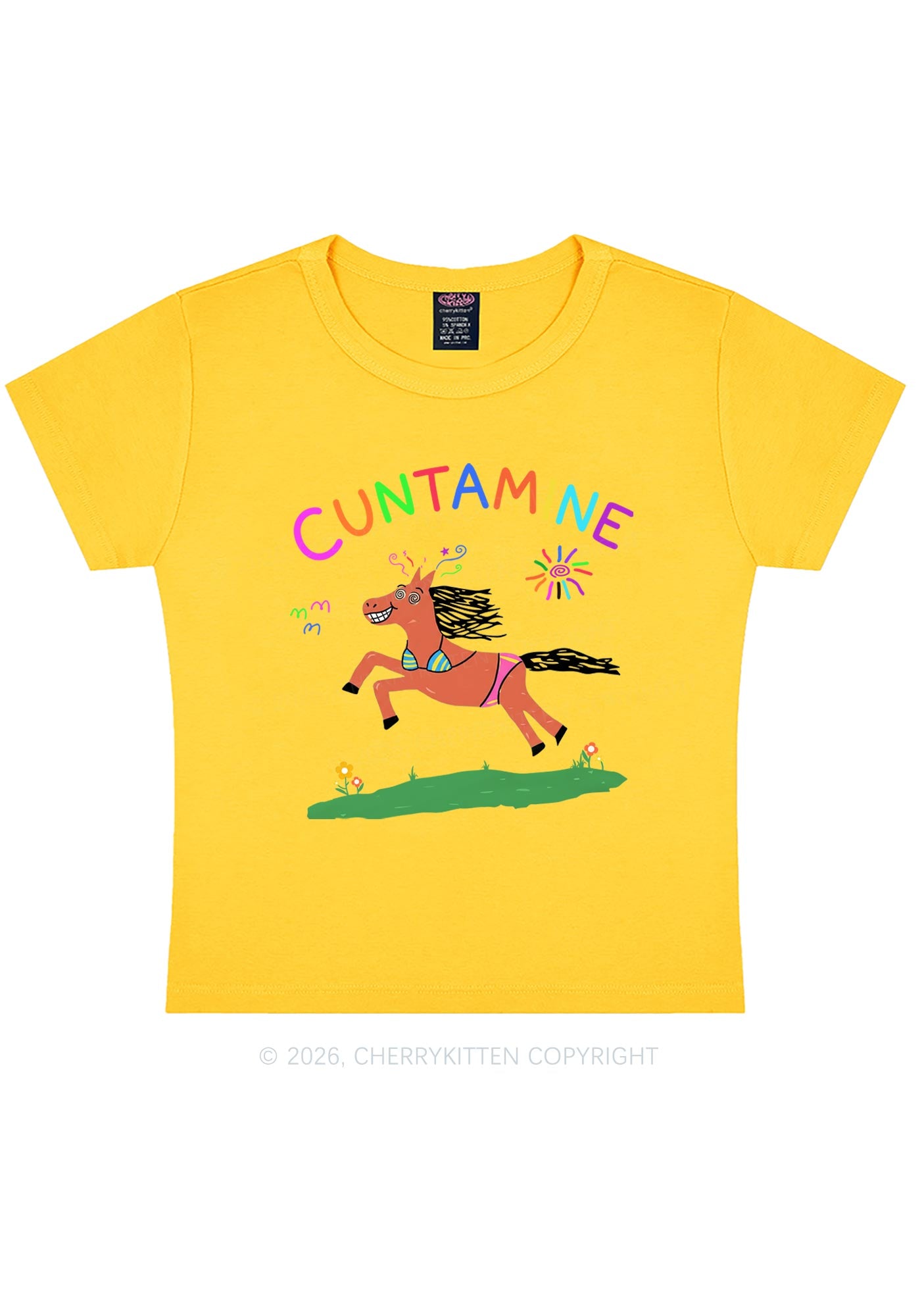 Cxxtamine Pony Y2K Baby Tee Cherrykitten