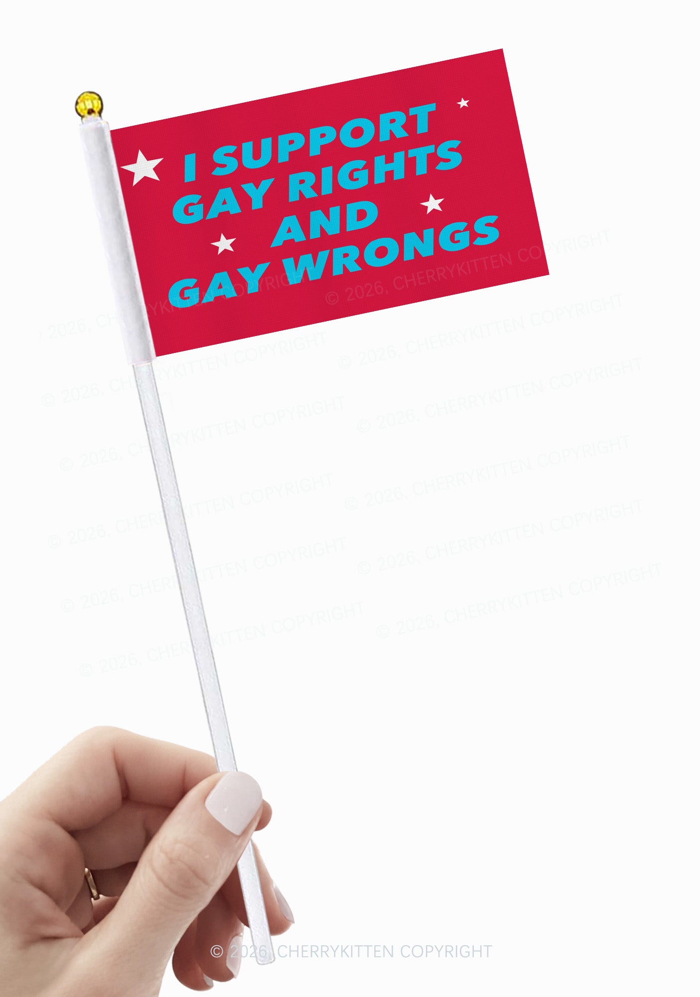 I Support Gay Rights Pride Y2K Hand Flags Cherrykitten