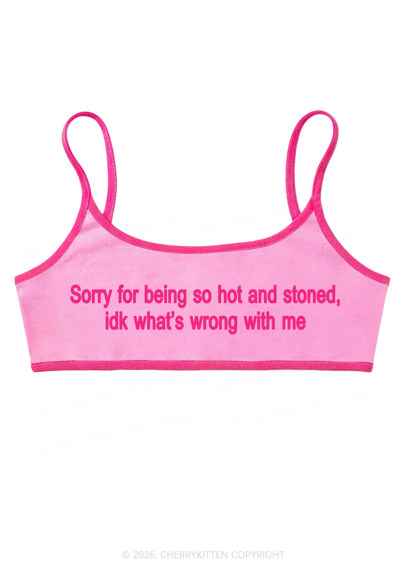 Sorry For Being Hot And Stoned Y2K Super Crop Cami Cherrykitten