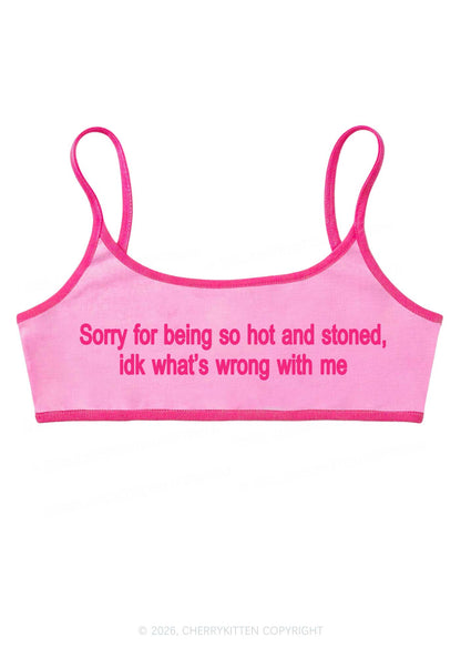 Sorry For Being Hot And Stoned Y2K Super Crop Cami Cherrykitten