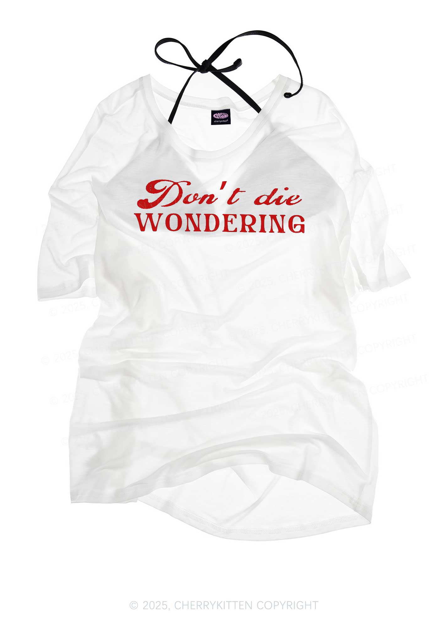 Dont Die Wondering Pride Y2K Sheer Boyfriend Tee Cherrykitten