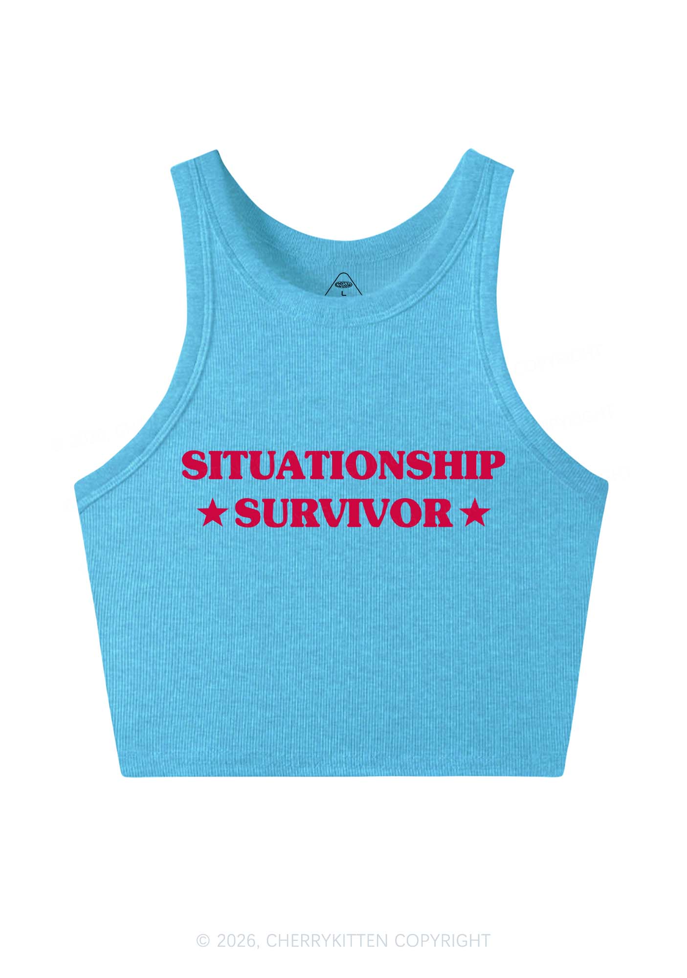 Situationship Survivor Y2K Crop Tank Top Cherrykitten