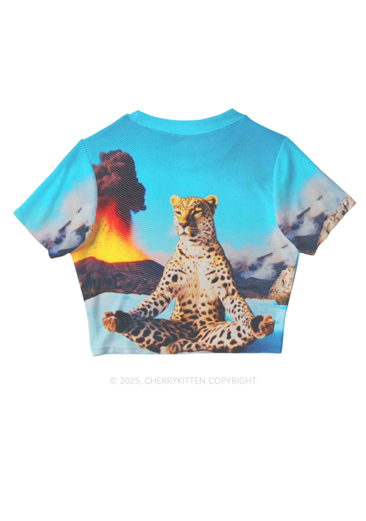 Yoga Leopard And Volcano Y2K Mesh Crop Top Cherrykitten
