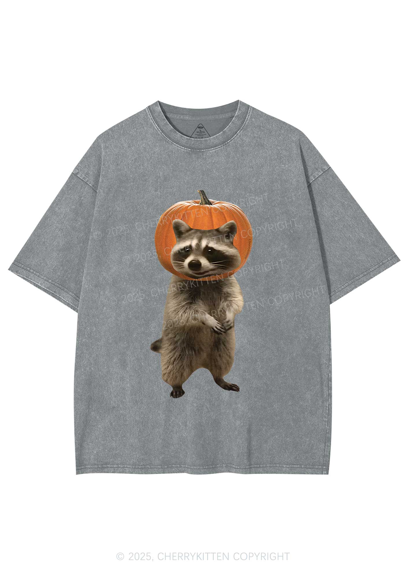 Halloween Silly Raccoon Y2K Shirts Washed Tee Cherrykitten