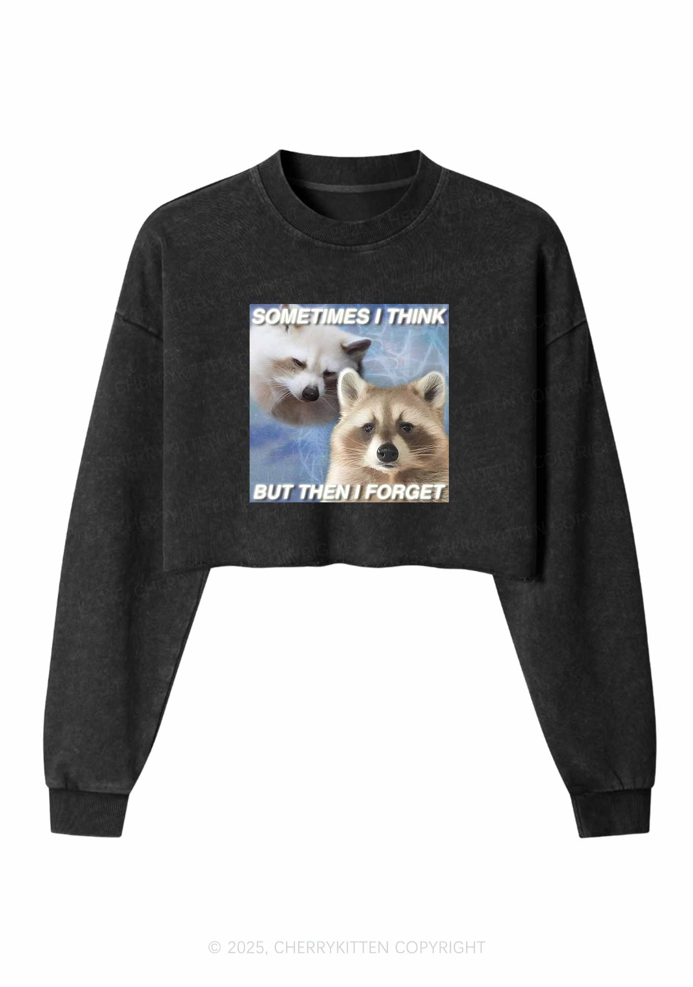 Raccoon Sometimes Think Y2K Crop Washed Sweatshirts Cherrykitten