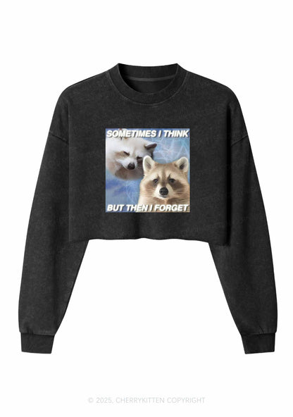 Raccoon Sometimes Think Y2K Crop Washed Sweatshirts Cherrykitten