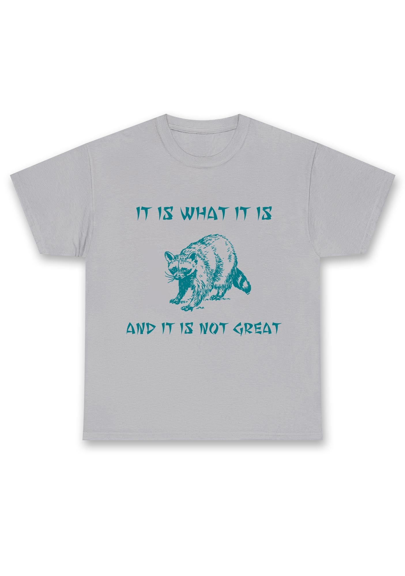 It Is What It Is And It Is Not Great Chunky Shirt