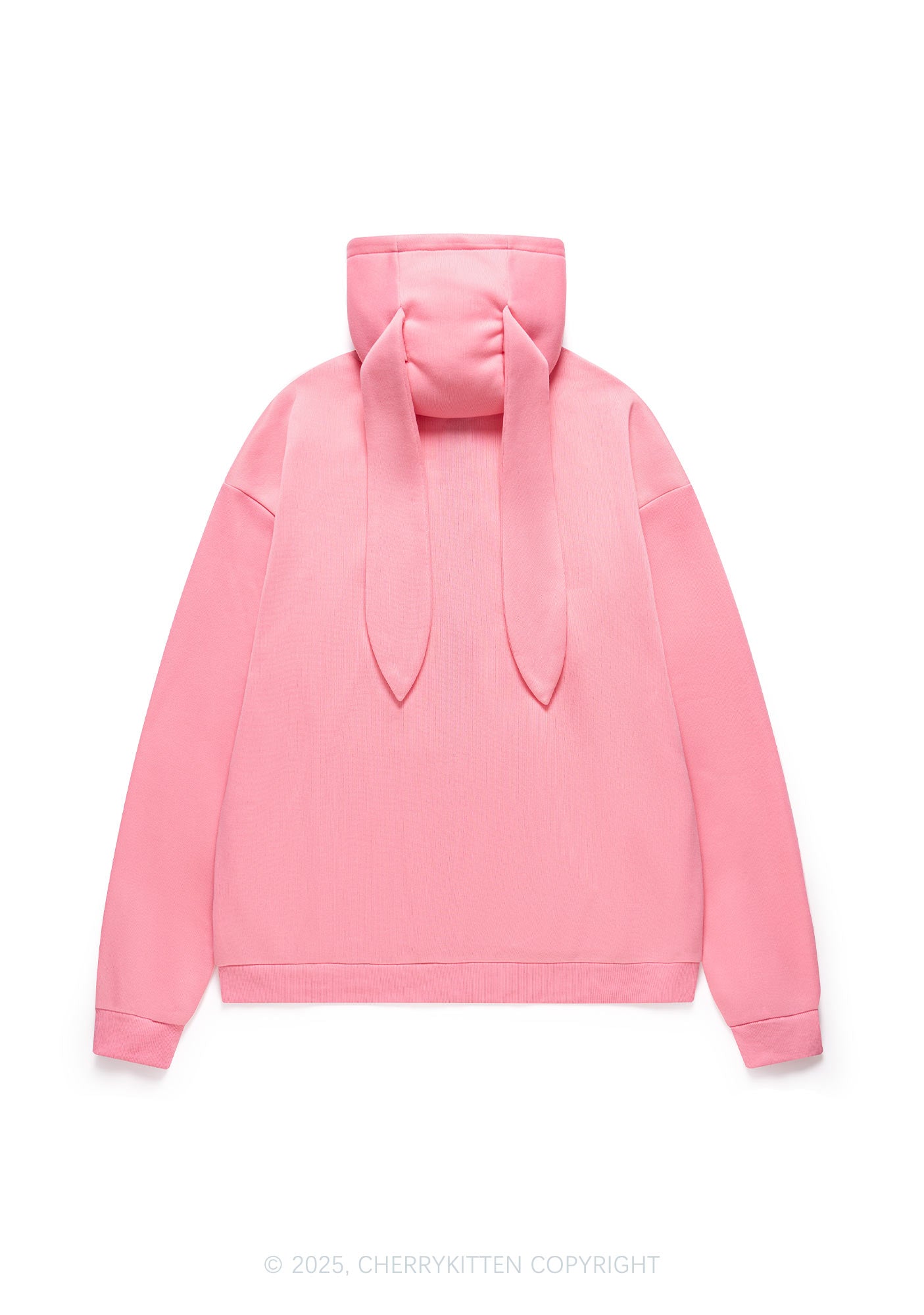 Punk Faggot Pride Y2K Bunny Ear Zip Hoodie Cherrykitten