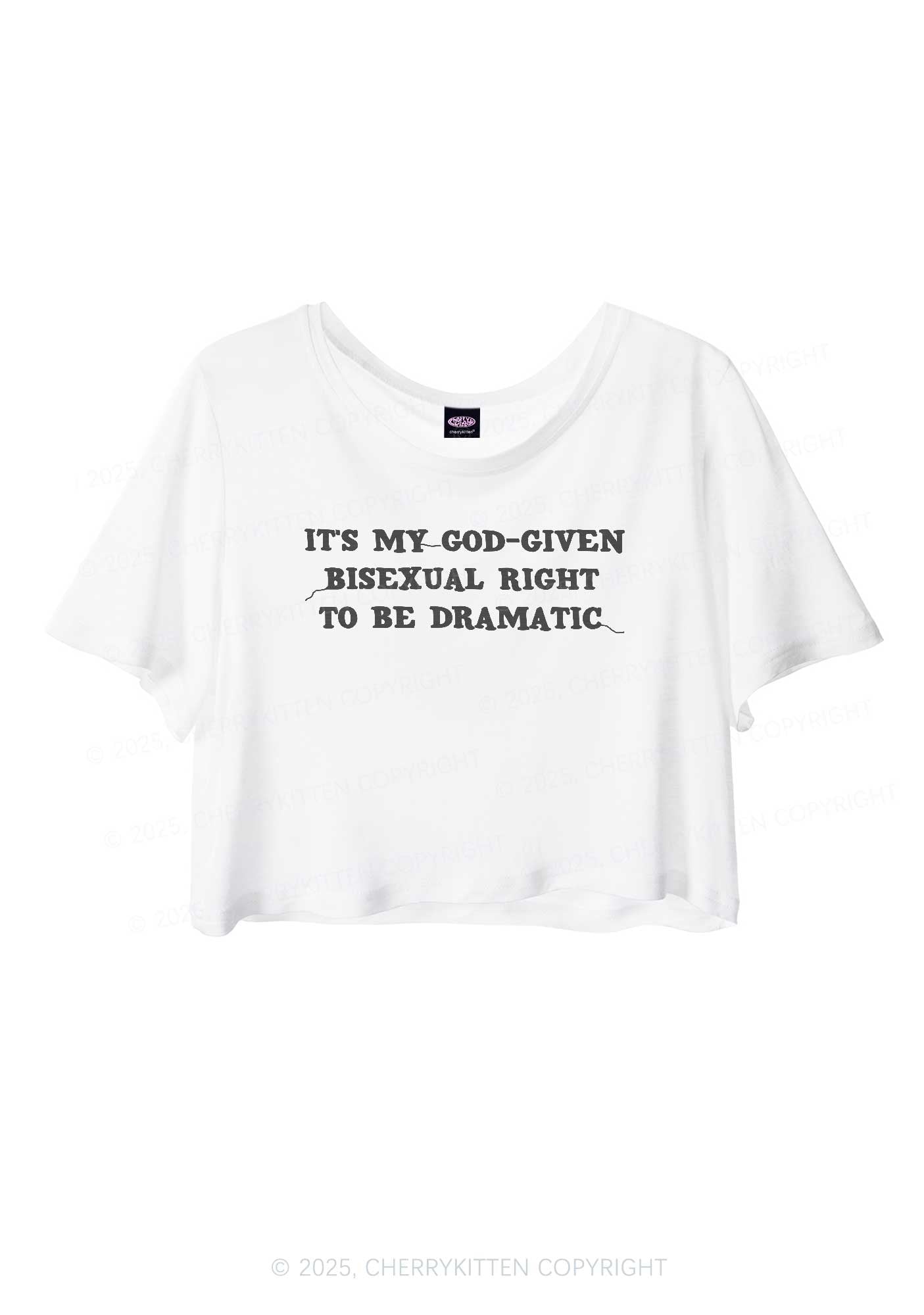 God Given Bisexual Right Pride Y2K Sheer Crop Tee Cherrykitten