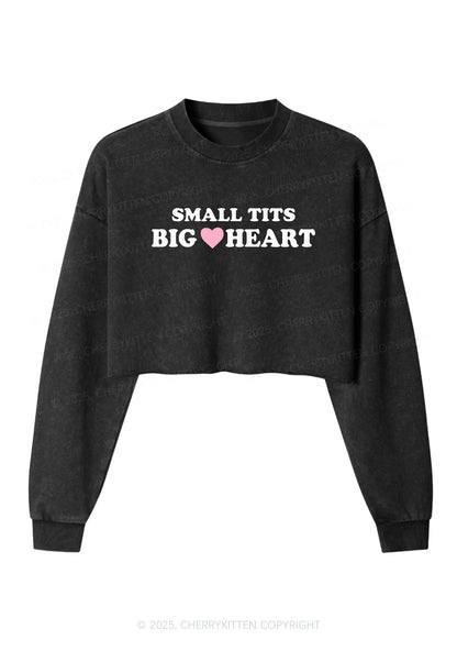 Small But Big Heart Y2K Crop Washed Sweatshirts Cherrykitten