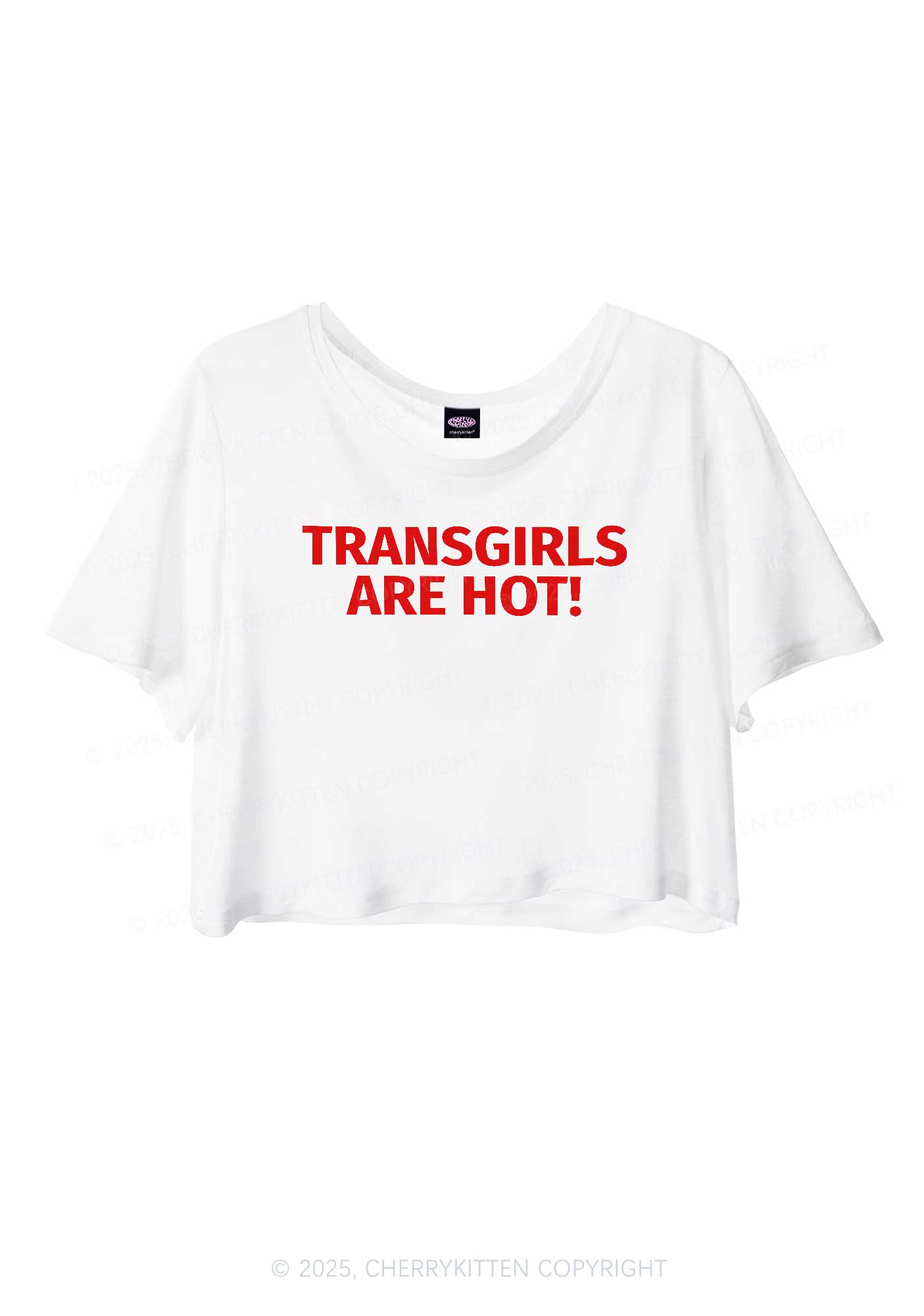 Transgirls Are Hot Pride Y2K Sheer Crop Tee Cherrykitten