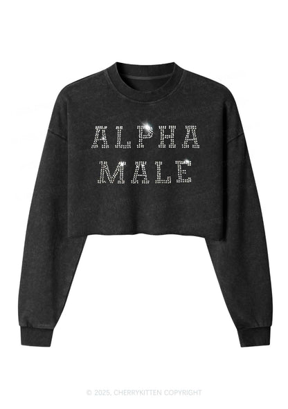 Rhinestone Alpha Male Y2K Crop Washed Sweatshirts Cherrykitten