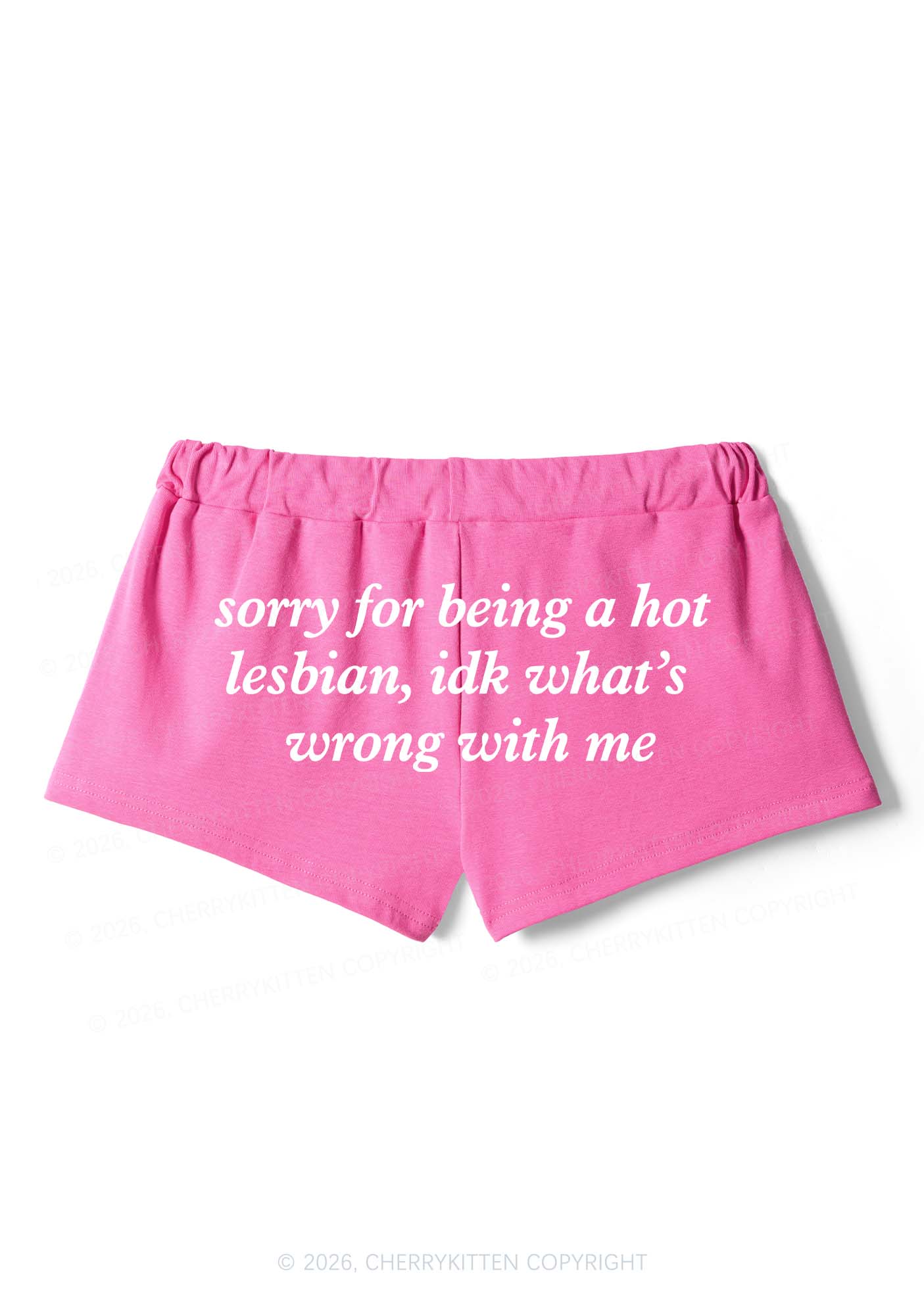 Sorry For Being Hot Lesbian Pride Y2K Drawstring Mini Shorts Cherrykitten