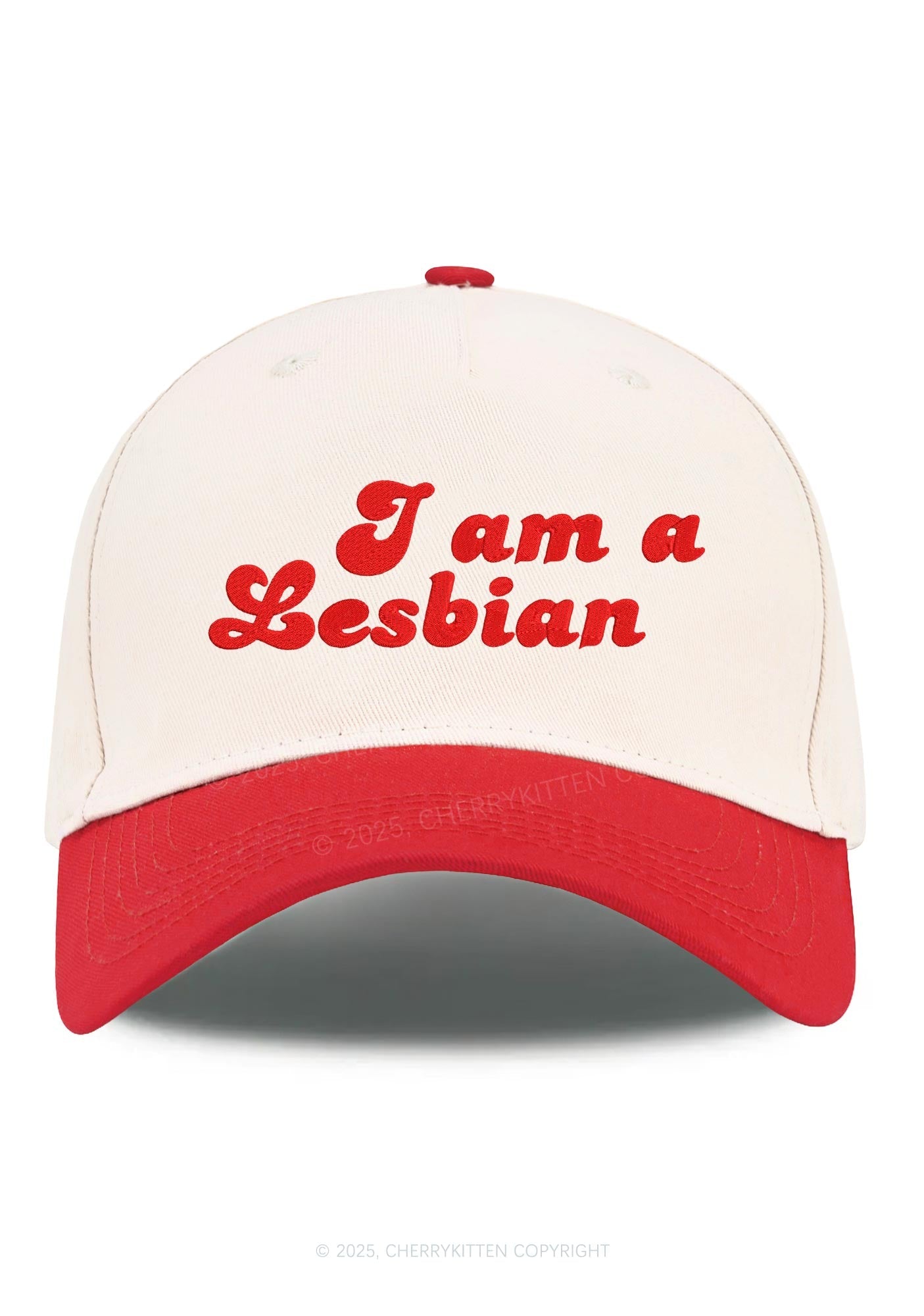 Embroidered Im Lesbian Pride Y2K Color Block Baseball Cap Cherrykitten