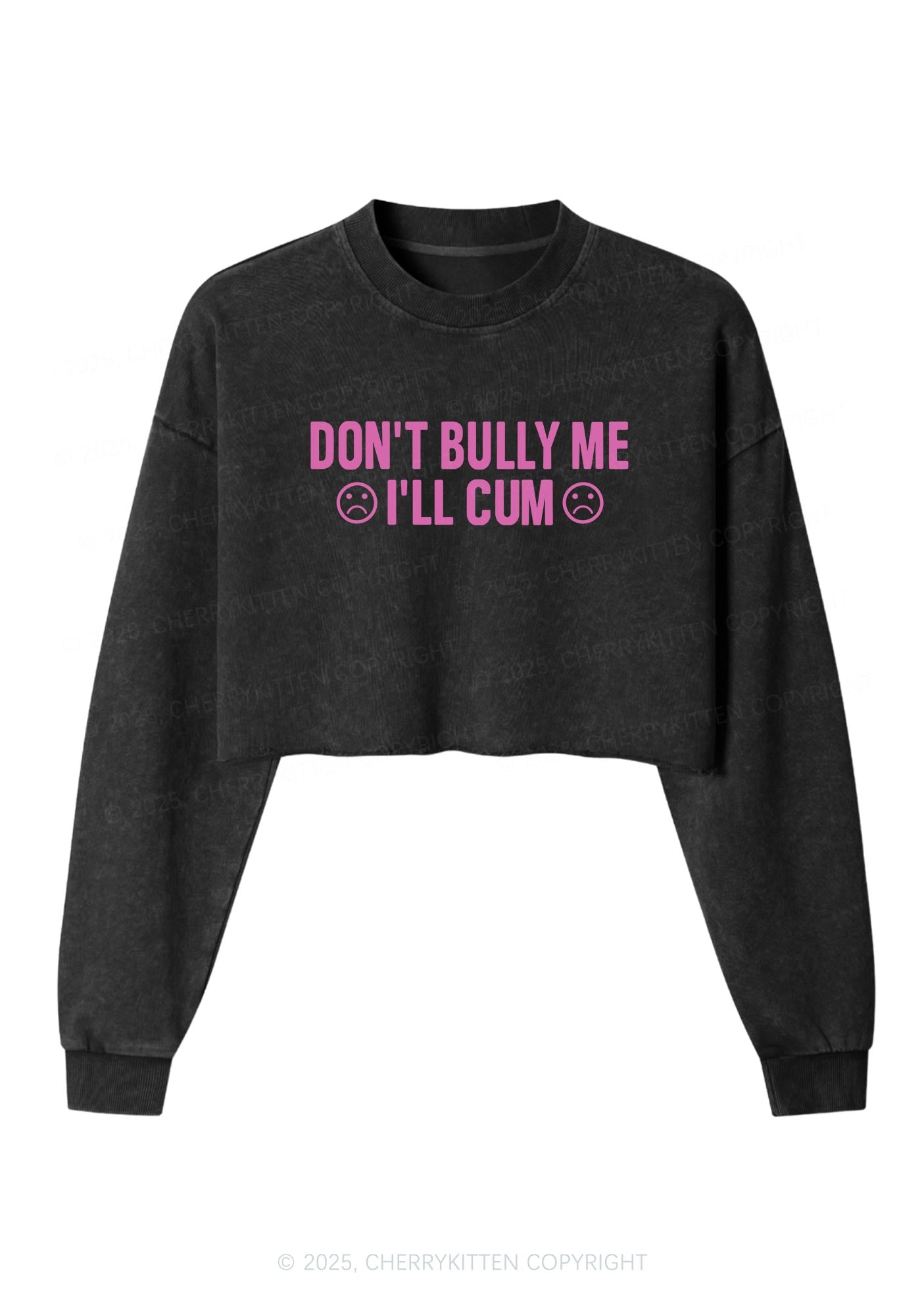 Dont Bully Me Y2K Crop Washed Sweatshirts Cherrykitten