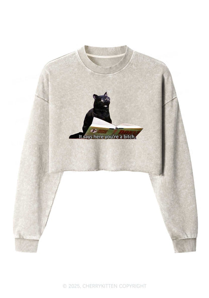 It Says Here Youre A Bixxh Y2K Crop Washed Sweatshirts Cherrykitten