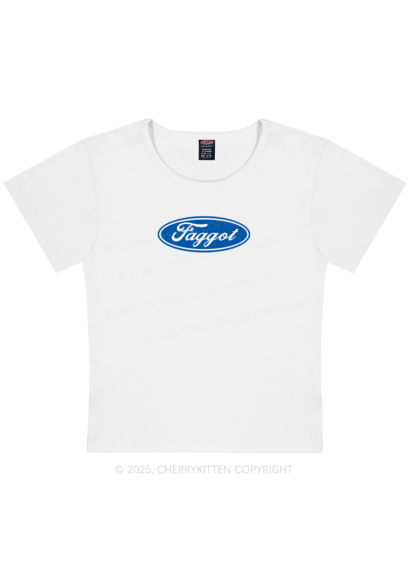 Curvy Faggot Pride Y2K Baby Tee Cherrykitten