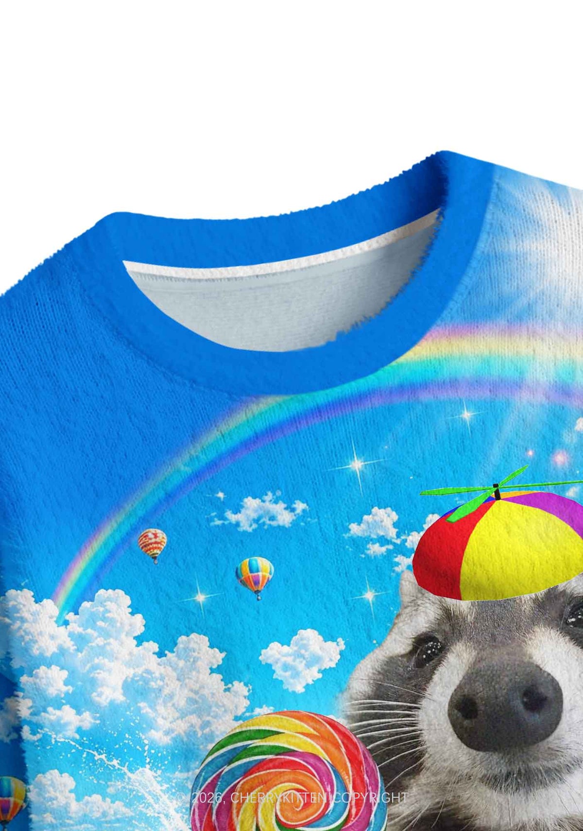 Rainbow Lollipop Raccoon Y2K Crop Knit Sweatshirt Cherrykitten