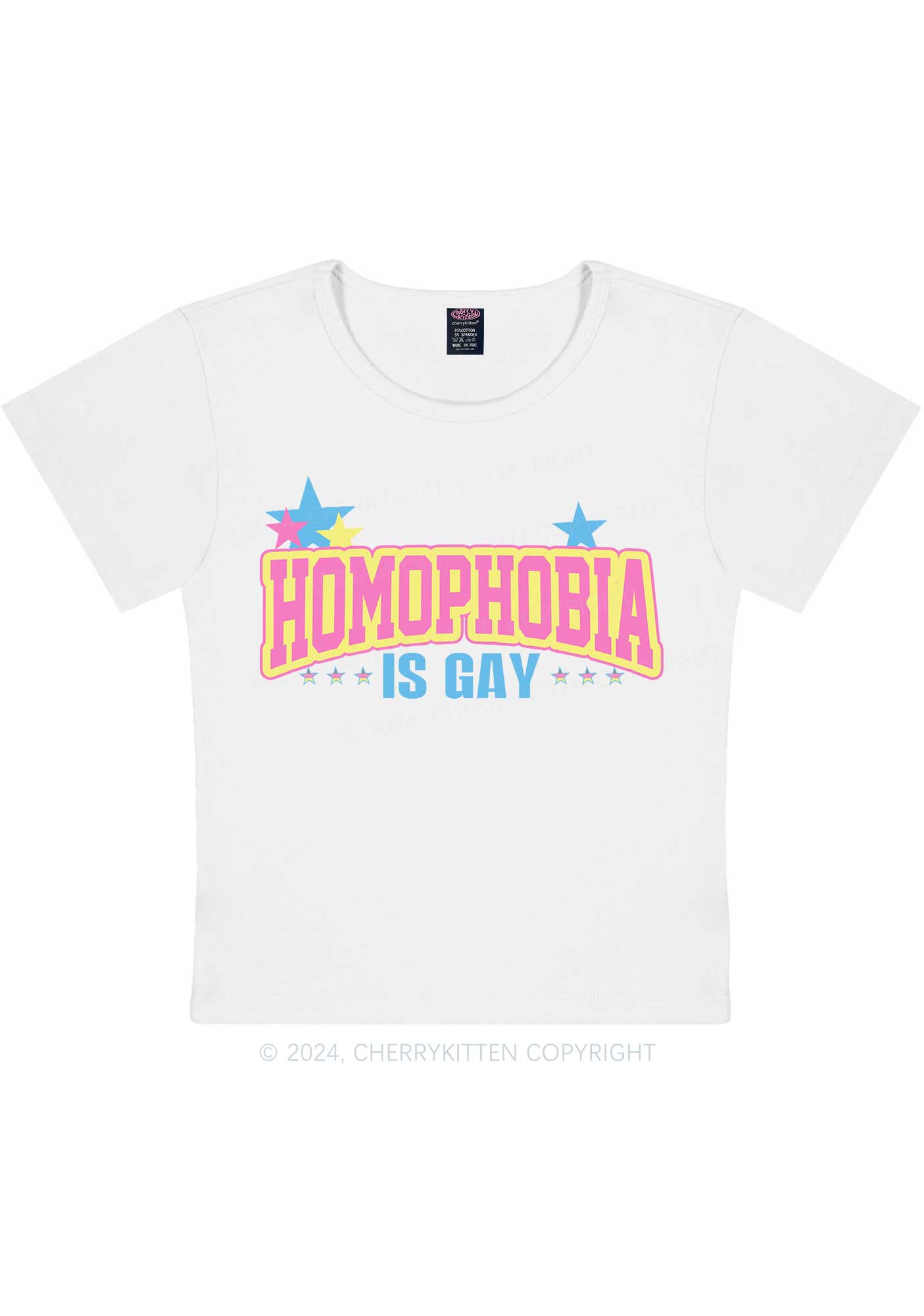 Curvy Homophobia Is Gay Y2K Baby Tee Cherrykitten