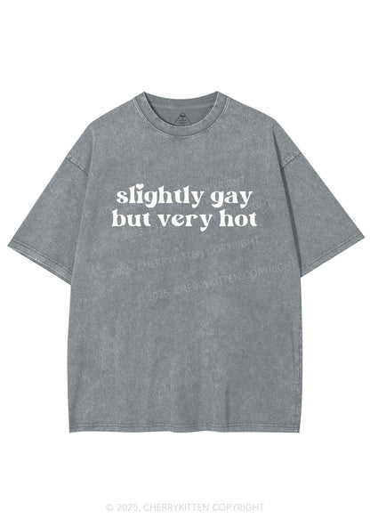 Slightly Gay But Very Hot Pride Y2K Shirts Washed Tee Cherrykitten