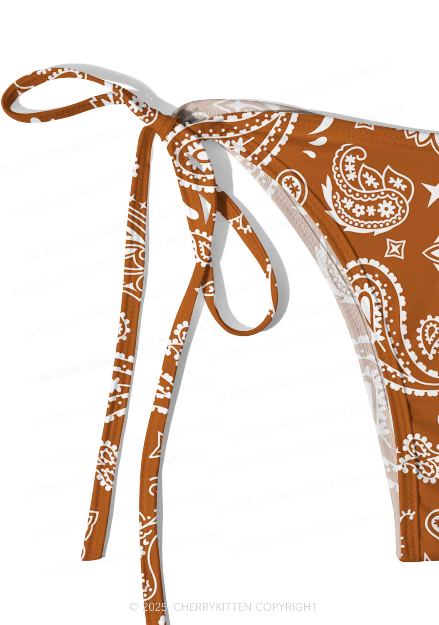 Brown Paisley Y2K Print Bikini Set Cherrykitten