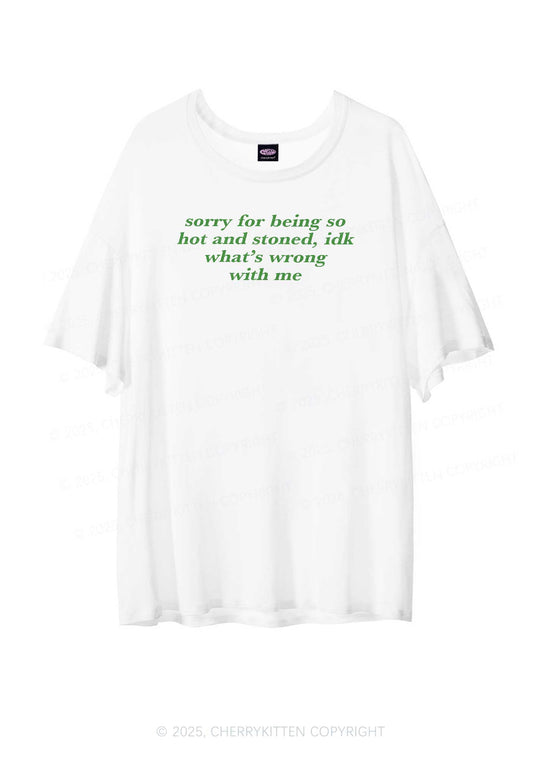 Sorry For Being Hot And Stoned Y2K Sheer Boyfriend Tee Cherrykitten