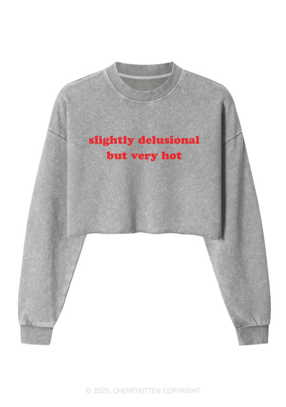 Slightly Delusional But Very Hot Y2K Crop Washed Sweatshirts Cherrykitten